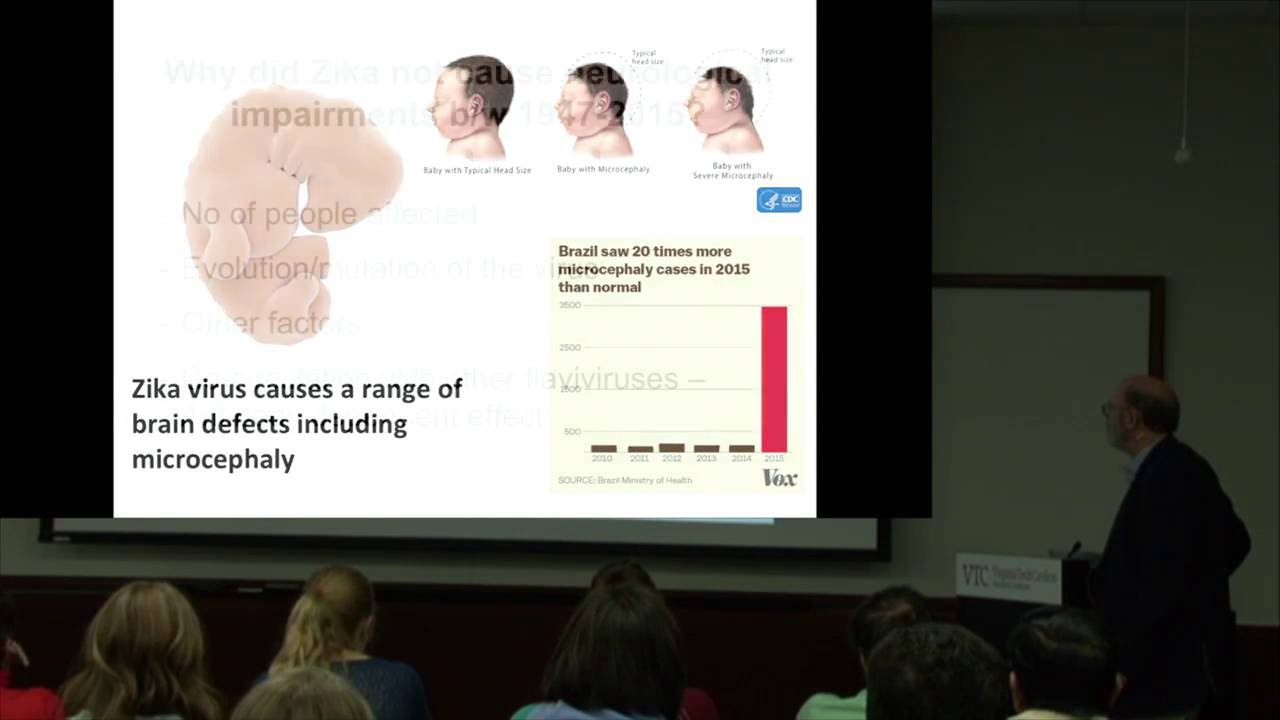 Assembly and Maturation of Dengue and Zika Viruses