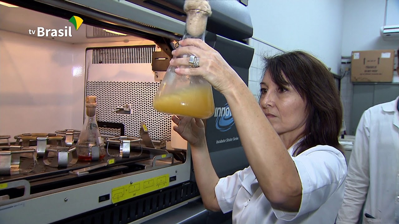 Estudo da UFRJ avança no entendimento da esclerose lateral amiotrófica
