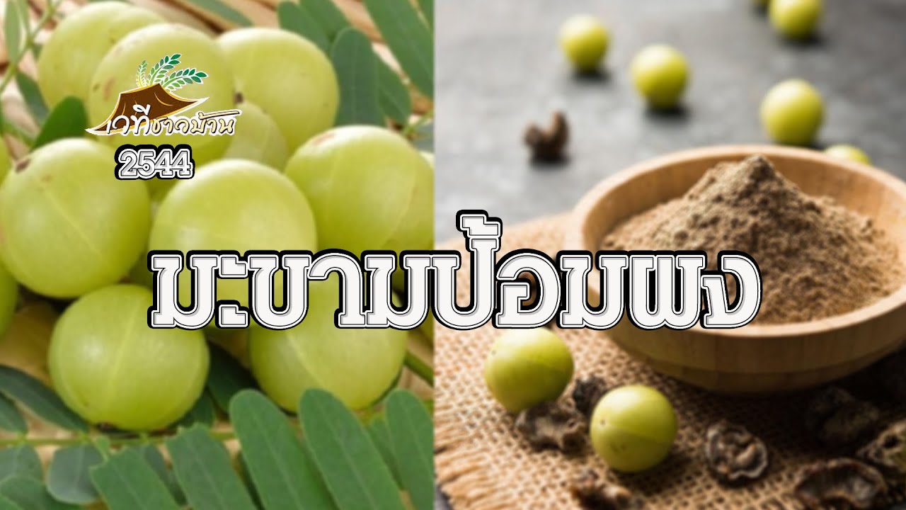 มะขามป้อมผงชงดื่ม