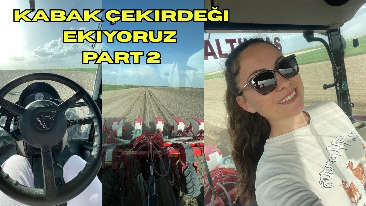 TÜM DETAYLARIYLA ÇEREZLİK KABAK EKİMİ! PART 2