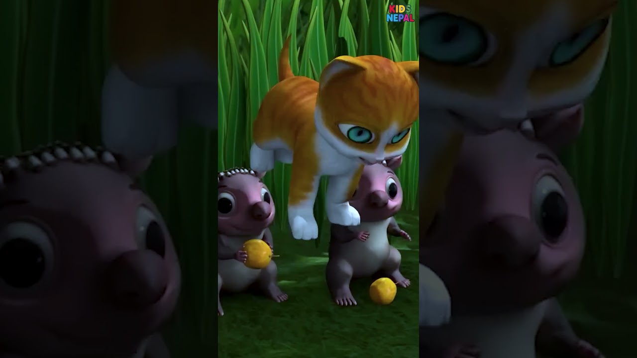 Biralo Mero Sathi | Shorts #kidsnepal #aagyabasnet #rhymes #nepalirhymes #kidssongs #balgeet