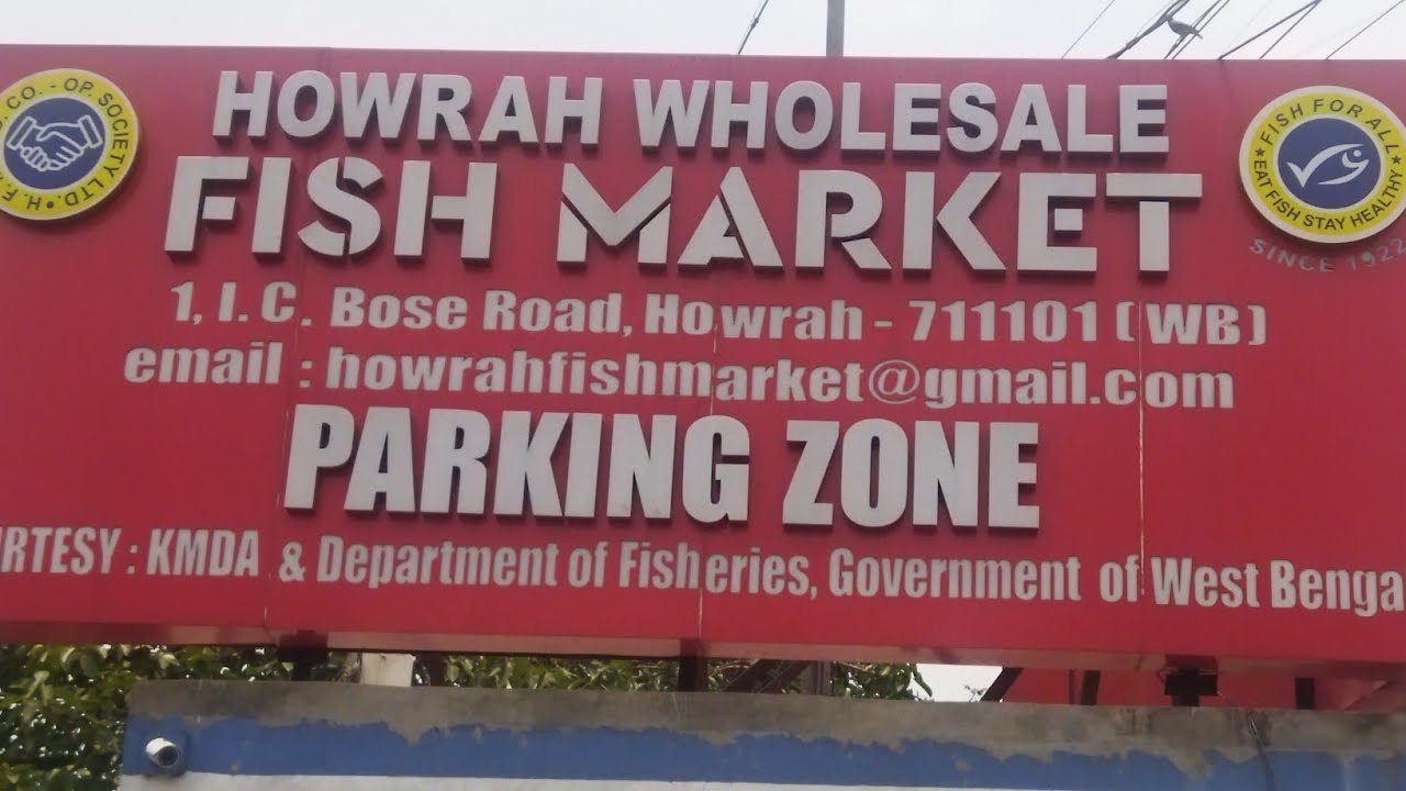 HOWRAH WHOLESALE FISH MARKET #Fish market # wholesale