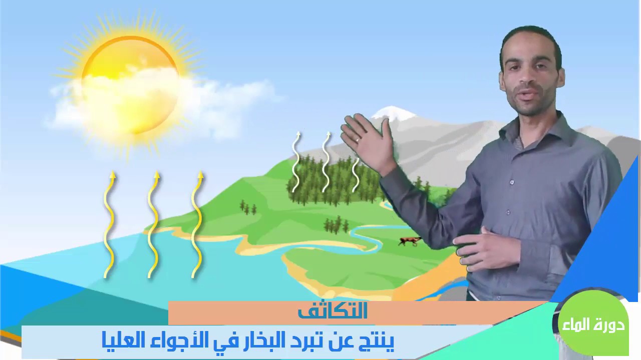 دورة الماء