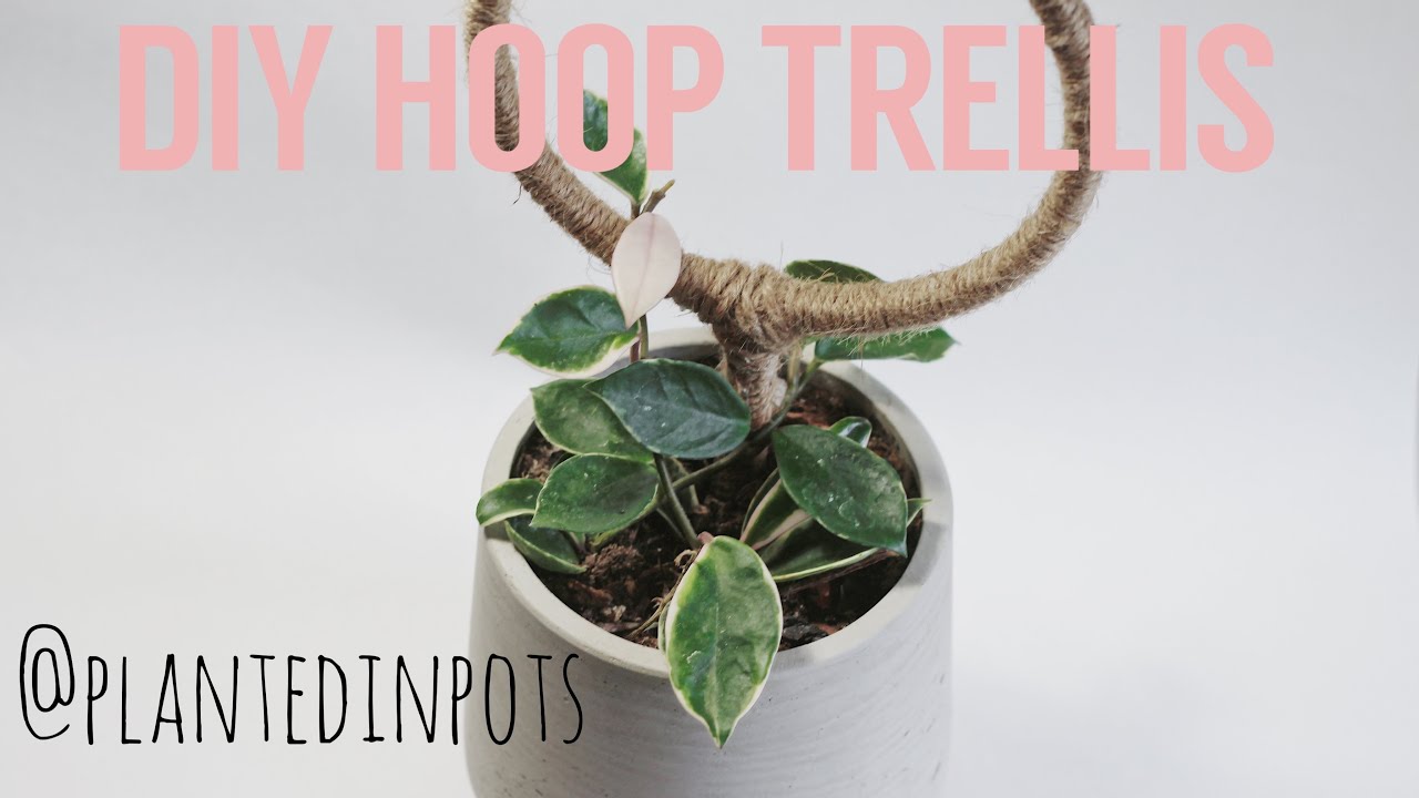 DIY HOOP TRELLIS