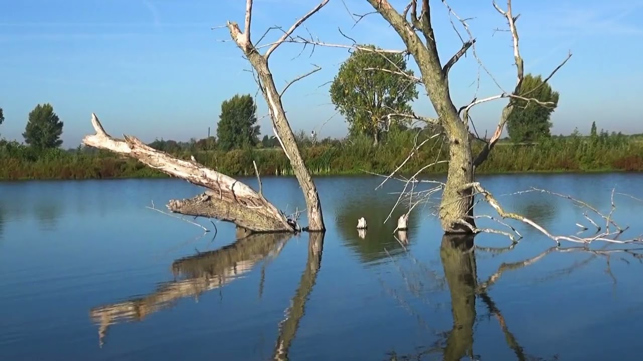 Land van  Maas en Waal