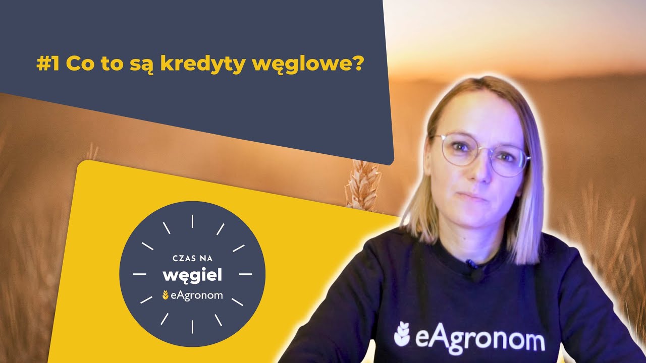 CO TO SĄ KREDYTY WĘGLOWE? | CZAS NA WĘGIEL