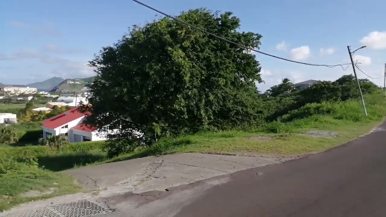 CRIME, GETTING RESIDENCY IN ST. KITTS, NEVIS WITH NO INVESTMENT OR CITIZENSHIP
