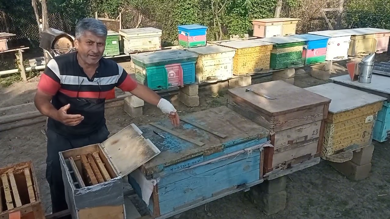Arı bölmə daha necə etmək olar.