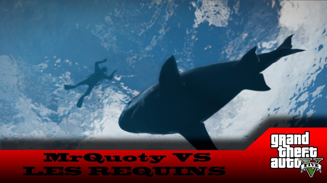 GTA V | MrQuoty Vs Les Requins
