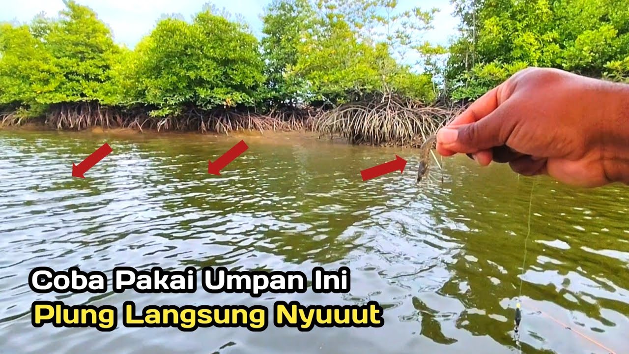 SILAHKAN DI COBA..!! Mancing Di Muara Pakai Umpan ini, Umpan Turun Langsung Nyuuut