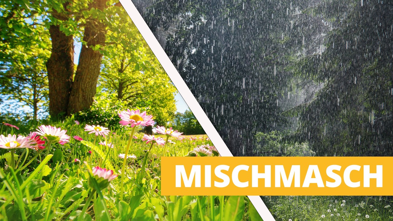 Wetter heute: Mischmasch aus Sonne und ein paar Fr&uuml;hlingsschauern