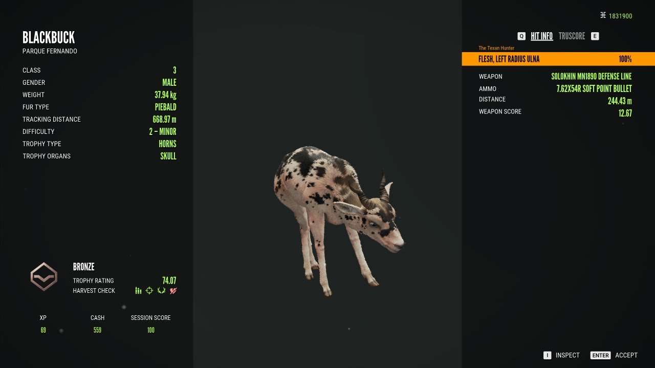 Call of the Wild | Parque Fernando.  Blackbuck Diamond Quest
