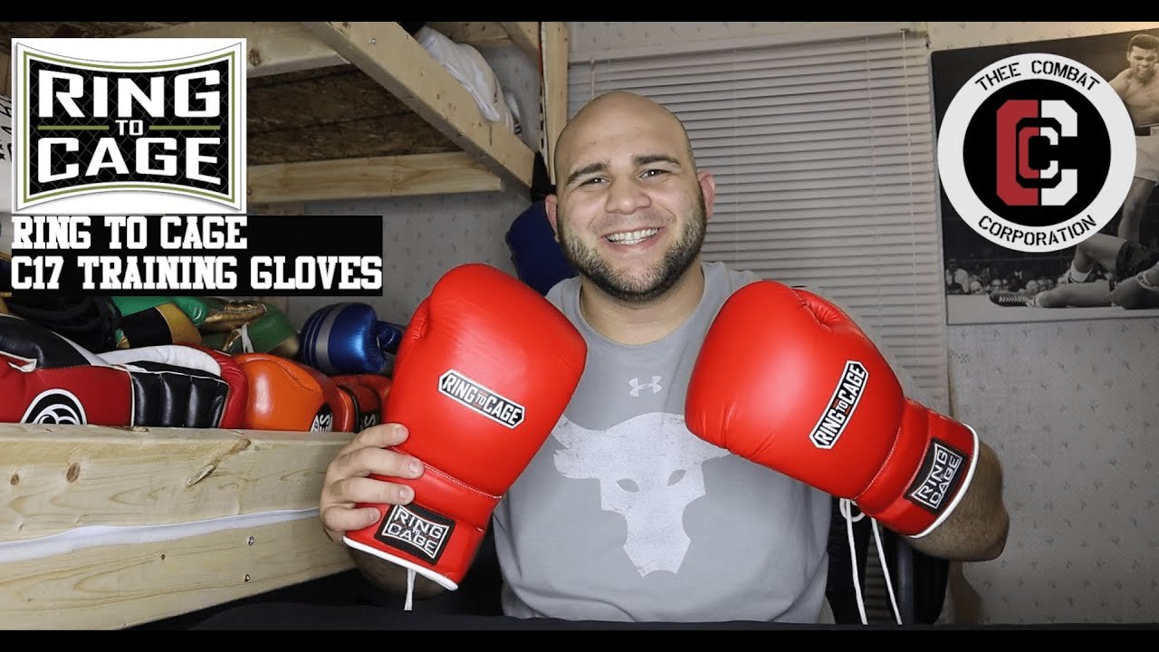 Ring to Cage C17 Japanese Style Training Gloves Review