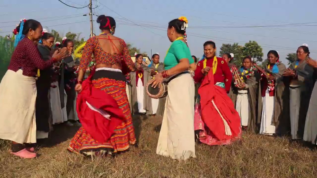 Maghi dance chyama banke 