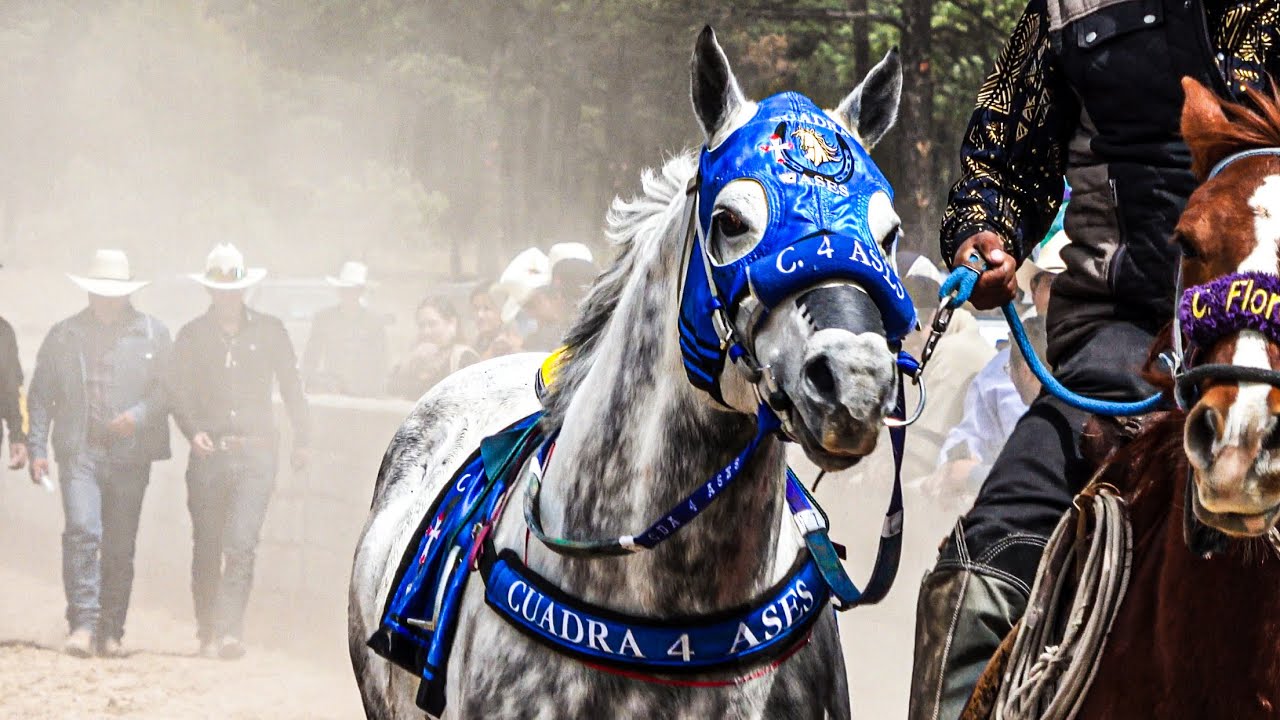 Duelo De Moros | El Tío Cachas Vs El Elegante, Carril San Antonio De La Cruz Durango Méx.