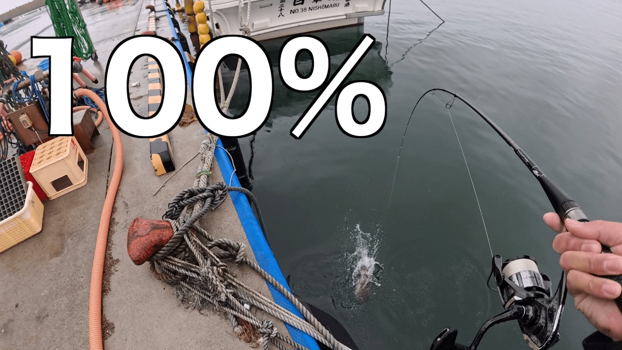 【ロックフィッシュ】100%アイナメを釣る方法はこれ。