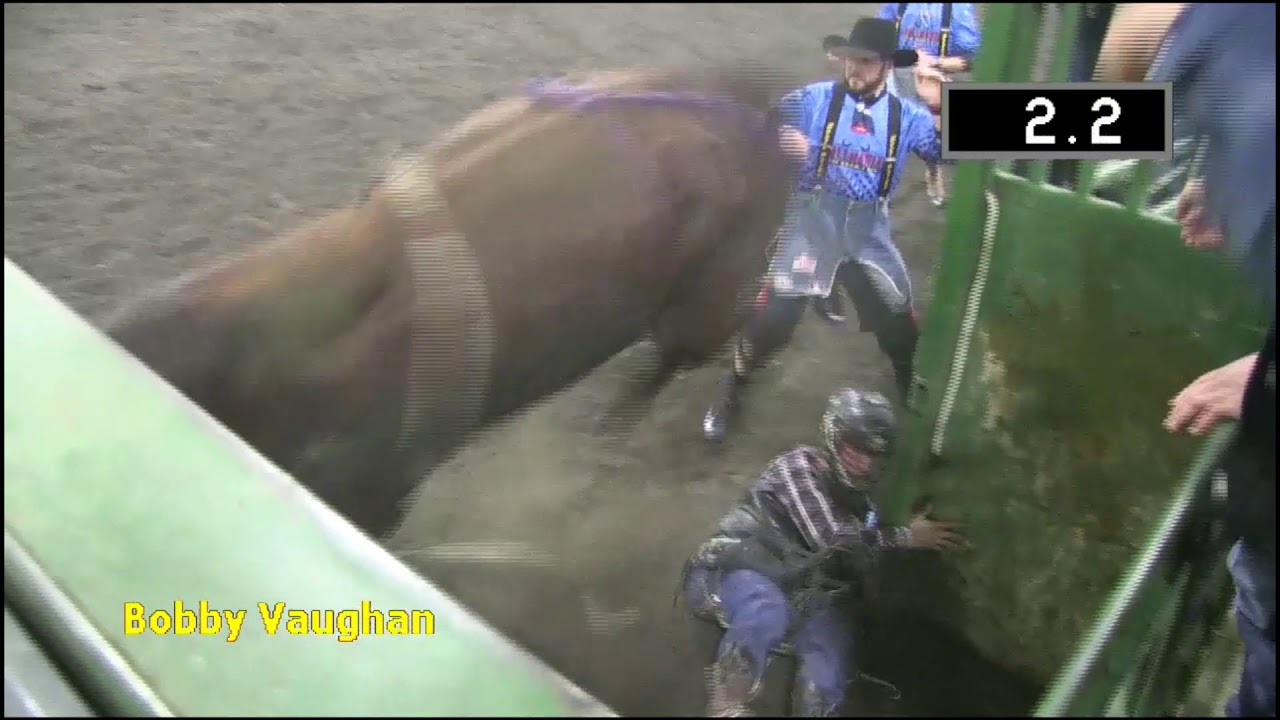 BullMania 2019 Video