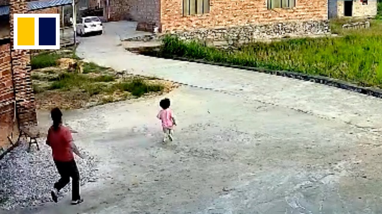 Left-behind toddler chases after parents’ car in China