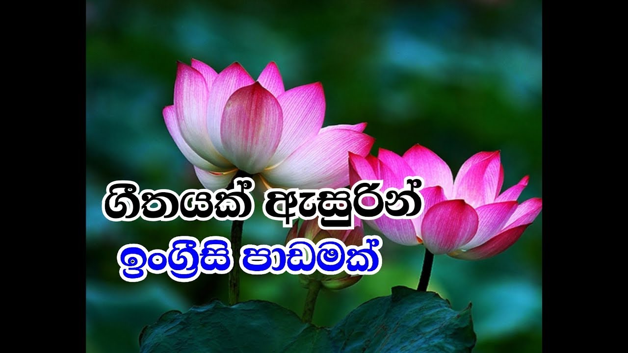 තව එක සැරයක්   - Bandara Dissanayake English grammar and spoken