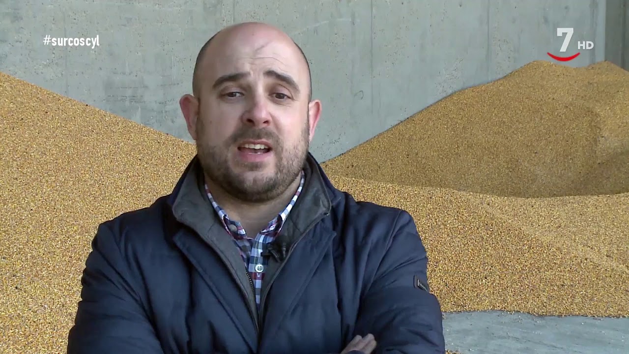 El maíz, una apuesta segura para los agricultores de Castilla y León | Surcos