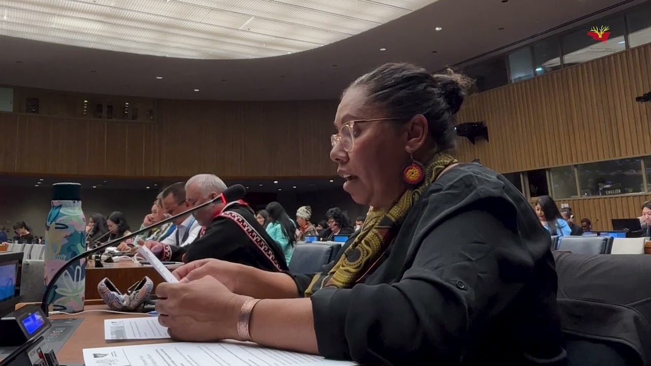 2023 UNPFII Intervention by NSWALC Councillor Grace Toomey (Intervention 1)