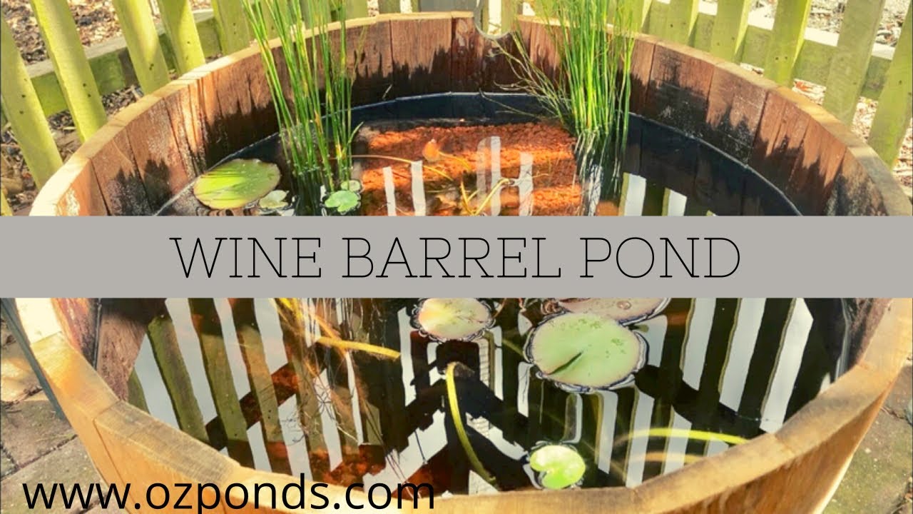 Wine Barrel Pond| No Pump