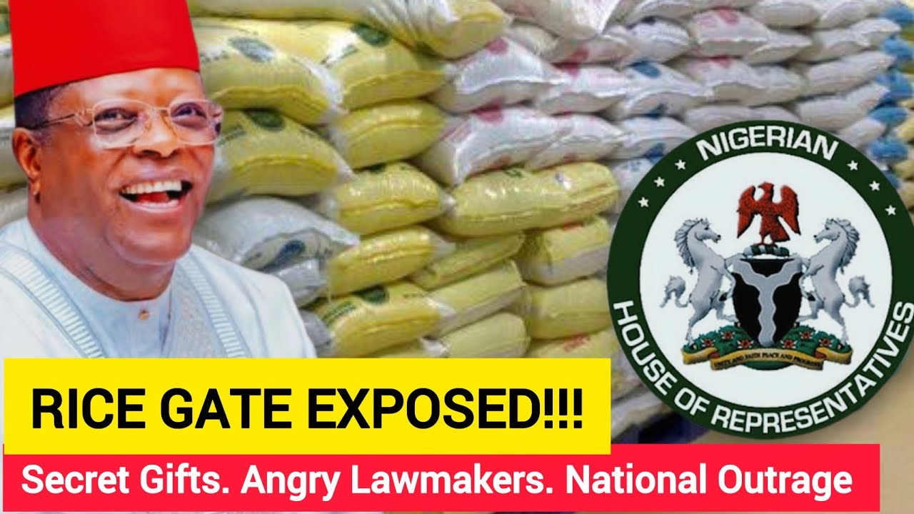 Why Is Nigeria’s Minister Giving Lawmakers 125kg of Rice? | The ‘Rice Gate’ Scandal Explained