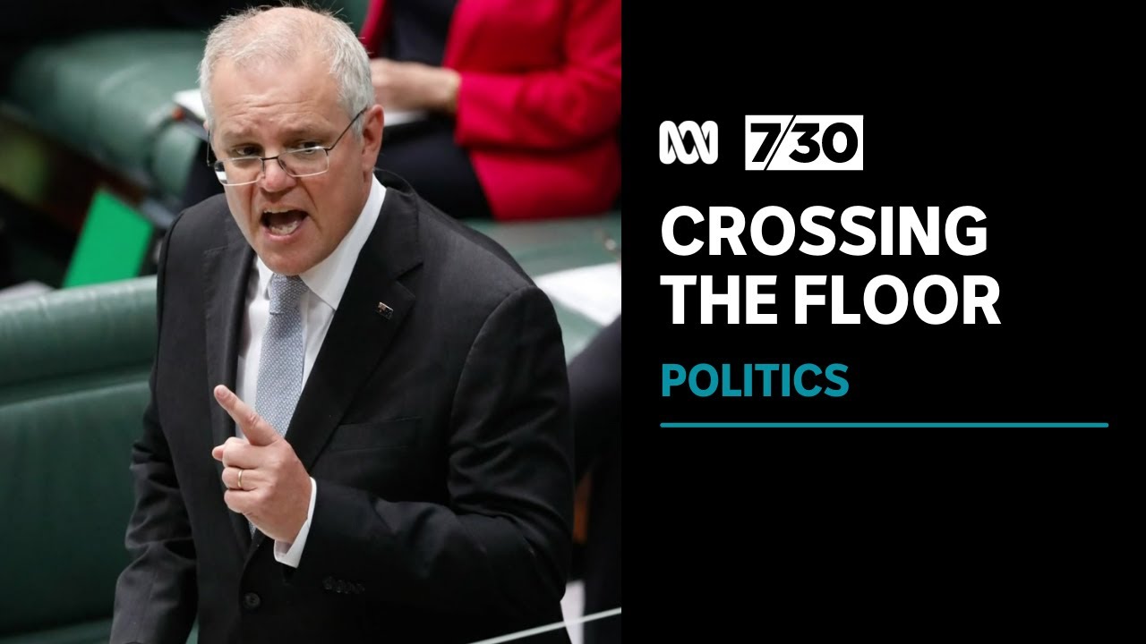 Another Coalition MP crosses the floor to vote against the government | 7.30