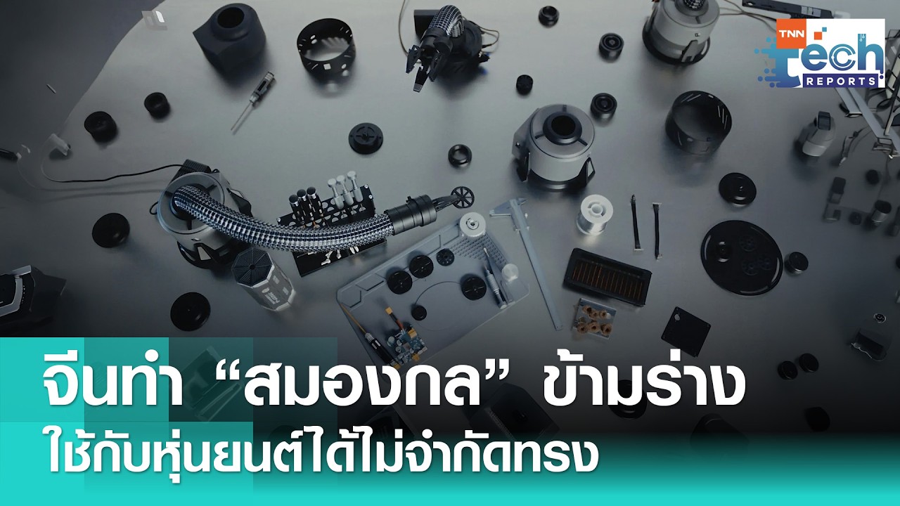 นวัตกรรมหุ่นยนต์จีน &ldquo;สมองกลข้ามร่าง&rdquo; เรียนรู้ได้ไม่จำกัดรูปทรง | TNN Tech Reports