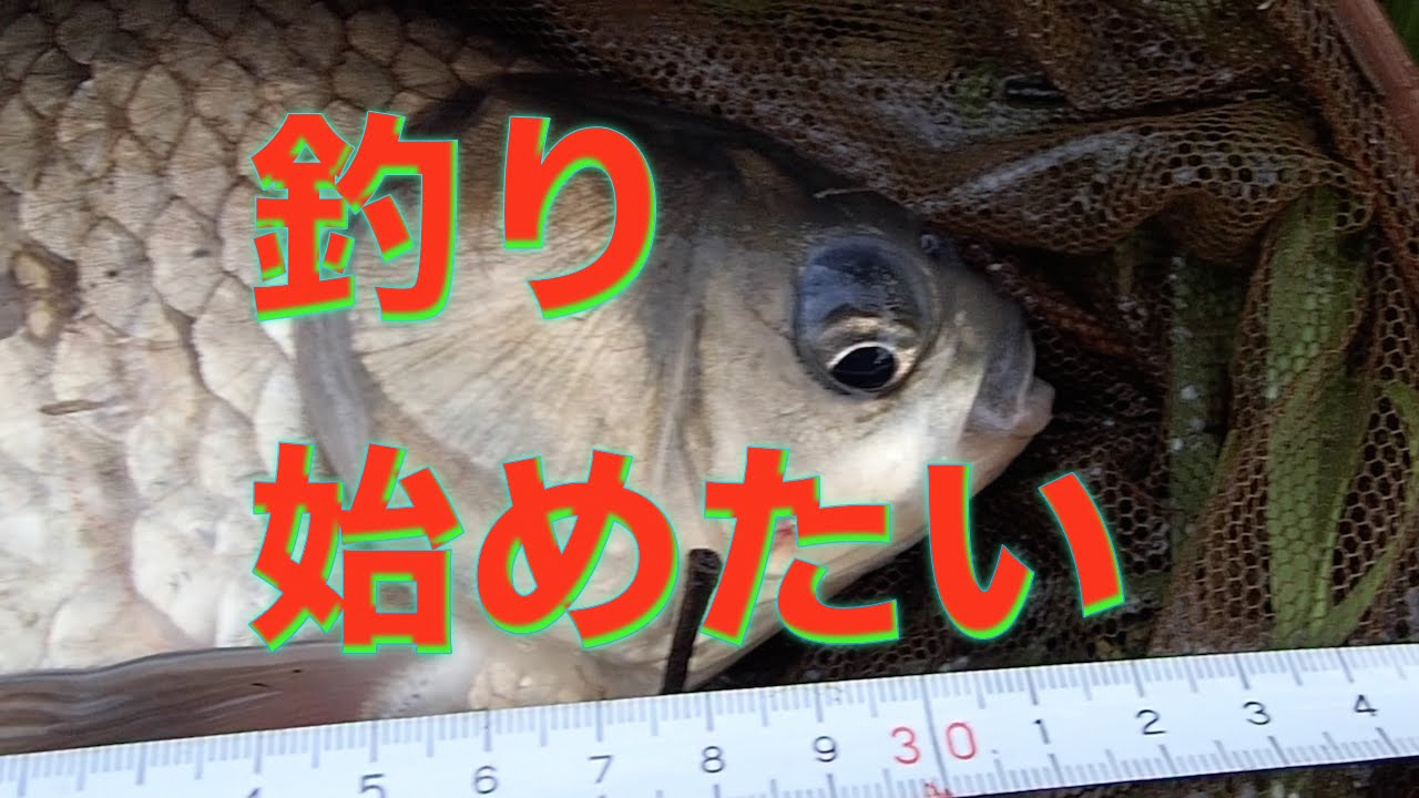 釣りを始めよう！千円で始める鮒釣り？　【初心者】