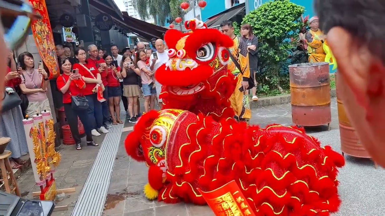 lion dance cai qing performance by Namyang at blk 87 Whampoa drive