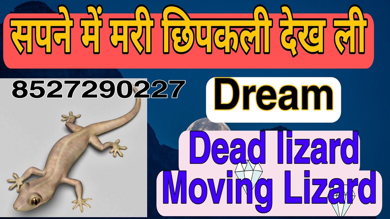 Seeing dead lizard in your dream सपने में मरी  छिपकली देखने का अर्थ बहुत खराब होता है धन की कमी,रोग