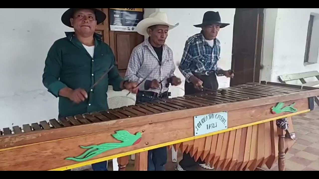 Son de San Gabriel pansuj