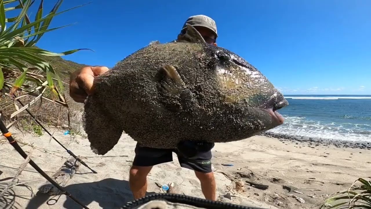 FISHING Sumbawa INDONESIA Queen Fish//Grouper//Triggerfish
