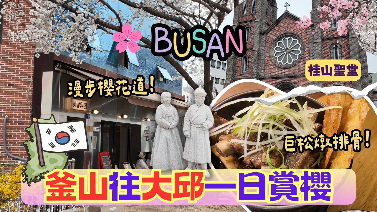 《大邱一日來回賞櫻🌸｜SRT現場購票＋交通全紀錄｜桂山聖堂與櫻花步道漫步》