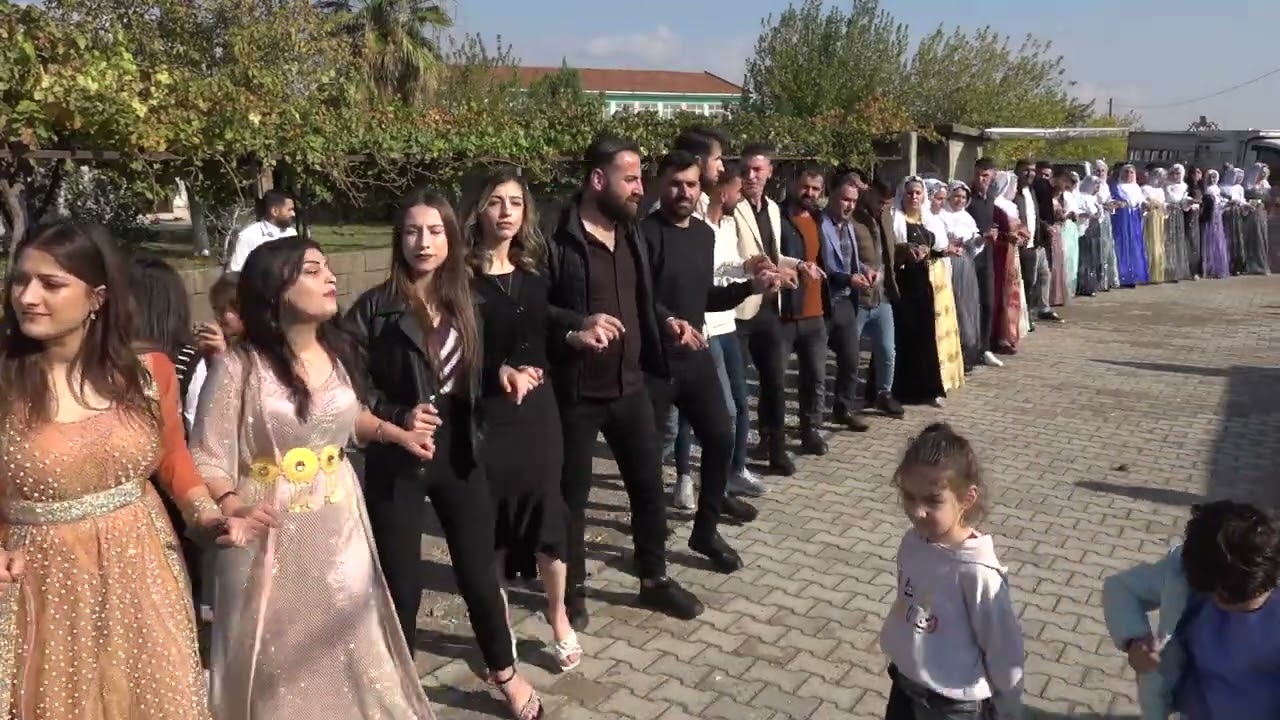 Murat Soysal Düğünü Part 3 ( Grup Rıdvan Silopi ) 2022