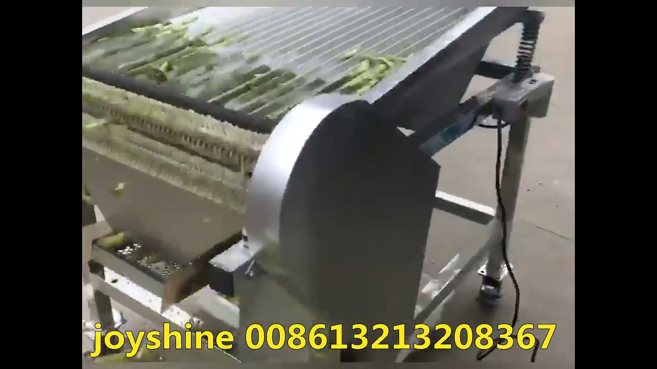 joyshine food processing machine: green bean shelling peeling machine