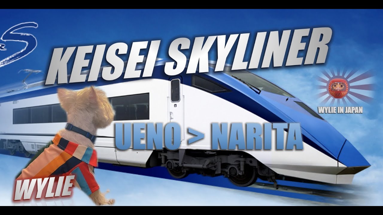 QUICKEST Train to NARITA | KEISEI SKYLINER | UENO | DOGS ALLOWED