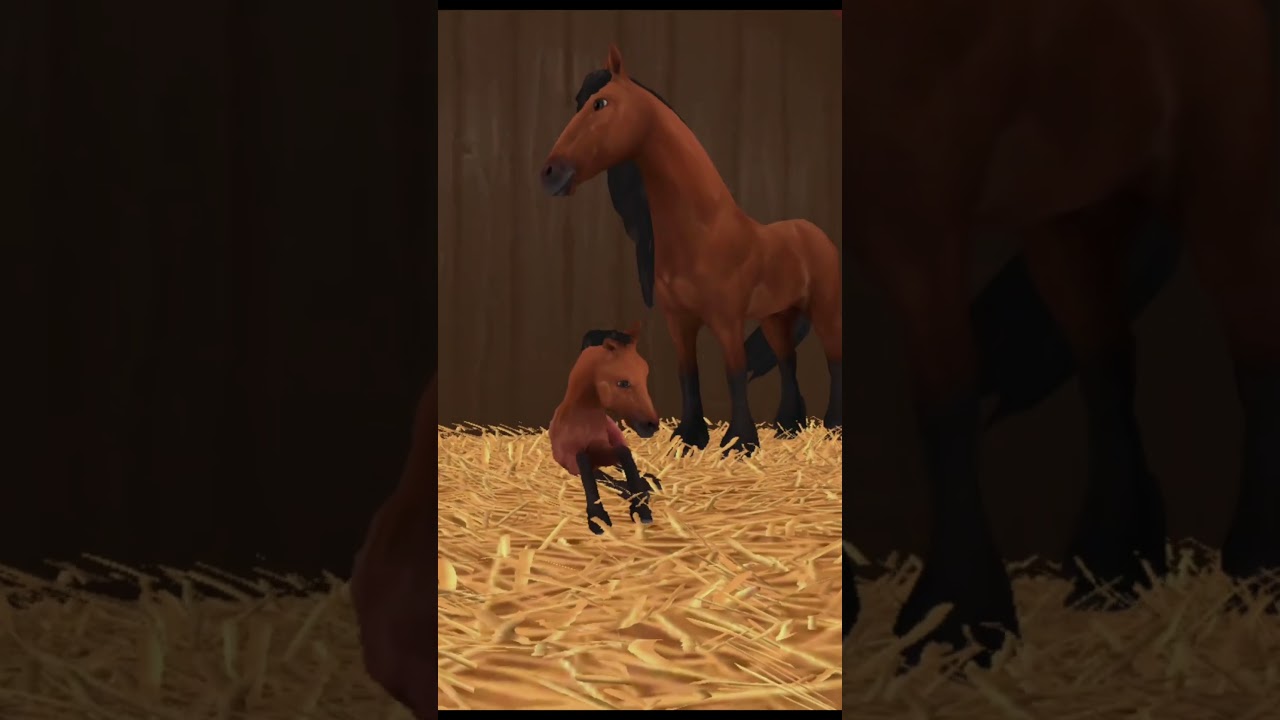 Horse riding tales breed horses #horseridingtales #horse #breeding
