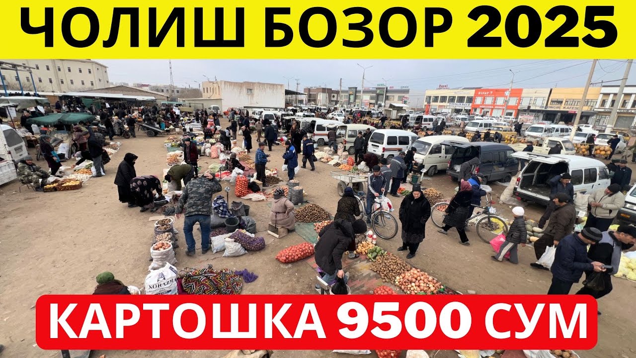 Урганч Чолиш бозор нархлари | Картошка 9500 сум