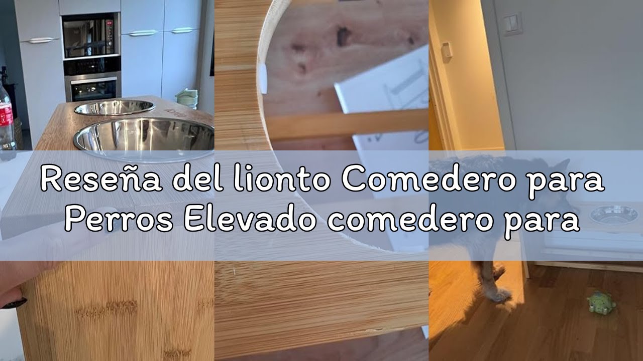 Reseña del lionto Comedero para Perros Elevado comedero para Perros Barra de Comida de bambú para Ma