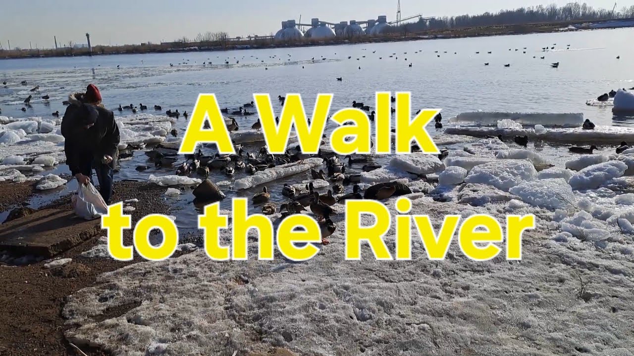 A Walk to the River: Art, Ducks & Spring Vibes