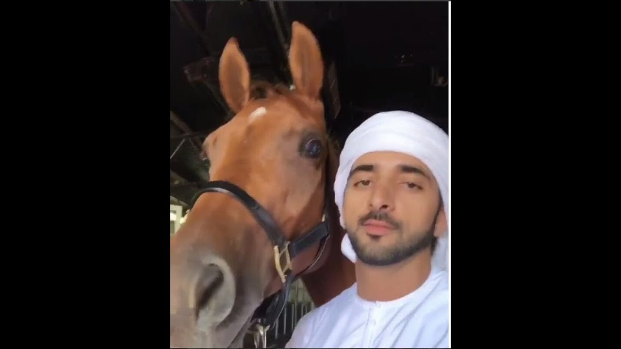 Fazza ( فزاع  ) live (7.10.2017)