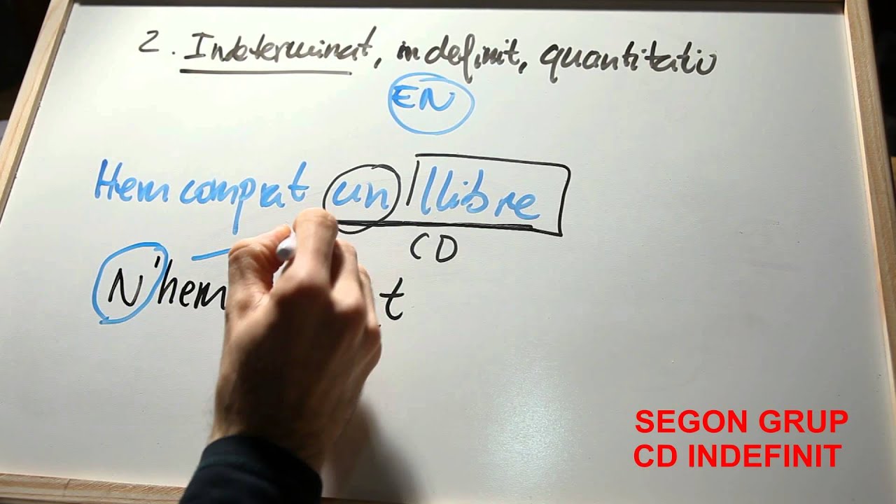 V04-Substitució Pronominal del Complement Directe (IV): CD Indefinit/Quantitatiu.
