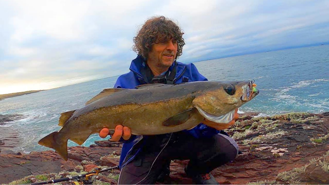 Fishing The Irish Coast For Pollock! Lure Fishing In Ireland