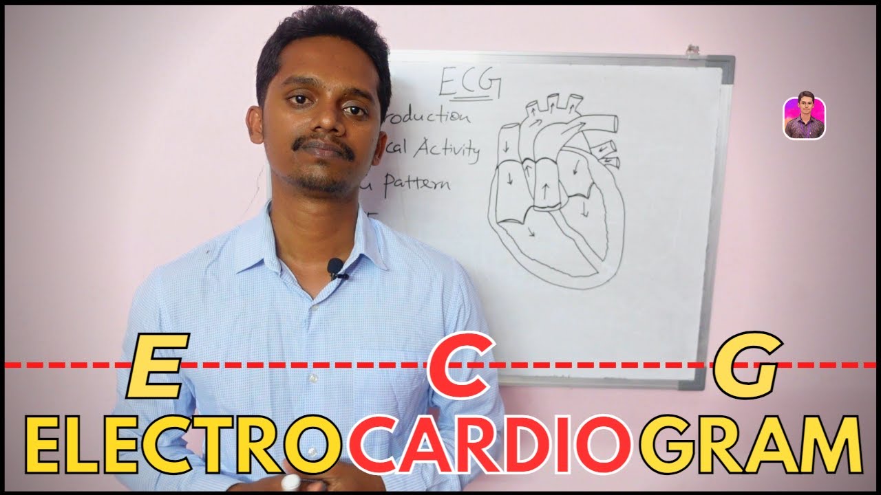 ECG in Tamil