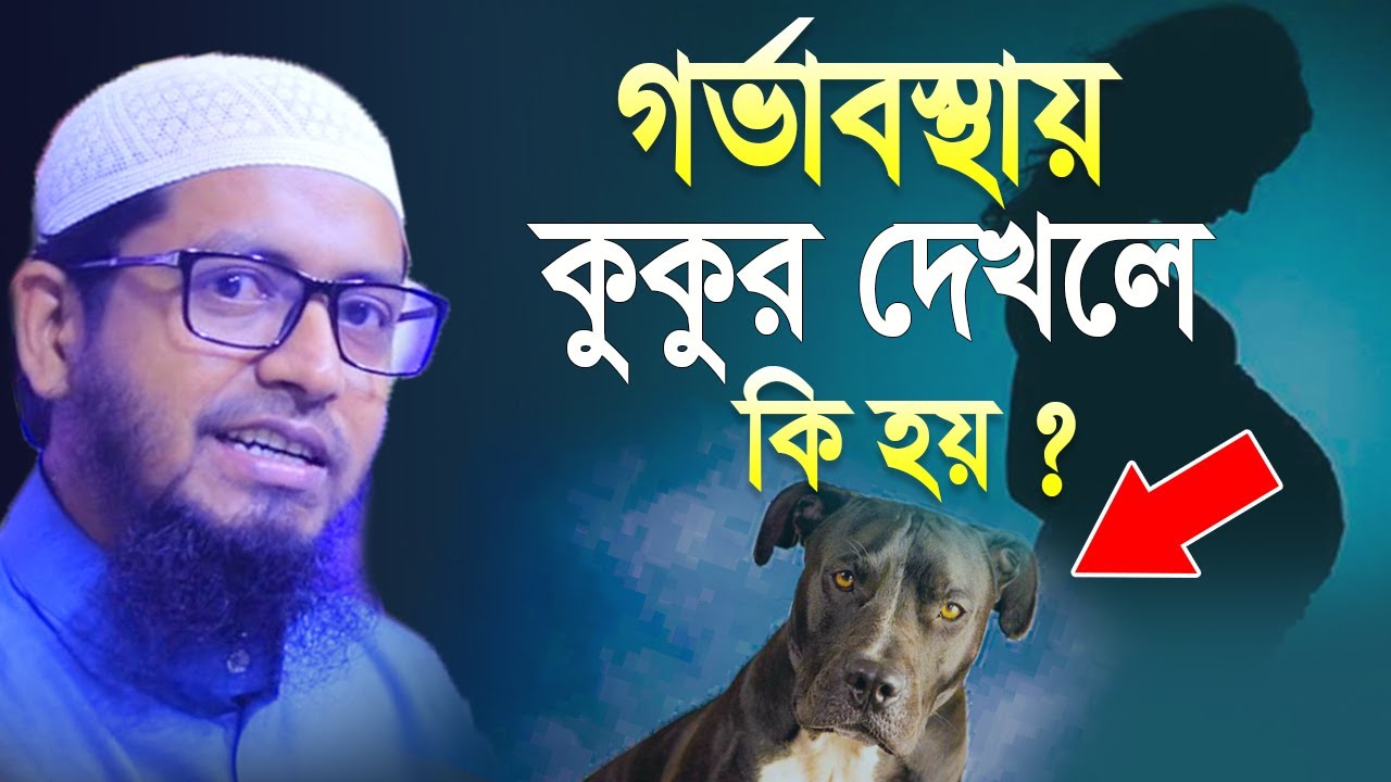 গর্ভাবস্থায় কুকুর দেখলে কি হয় ? মুফতি মুহাম্মদ আলী | Mufti Mohammad Ali Waz