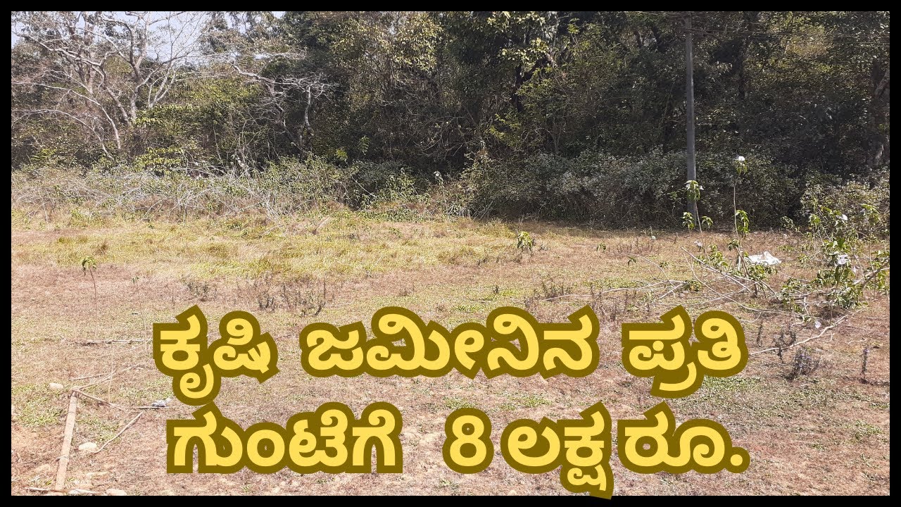 Agricultural site for sale on Korlkatta road 5km. from Sirsi.
