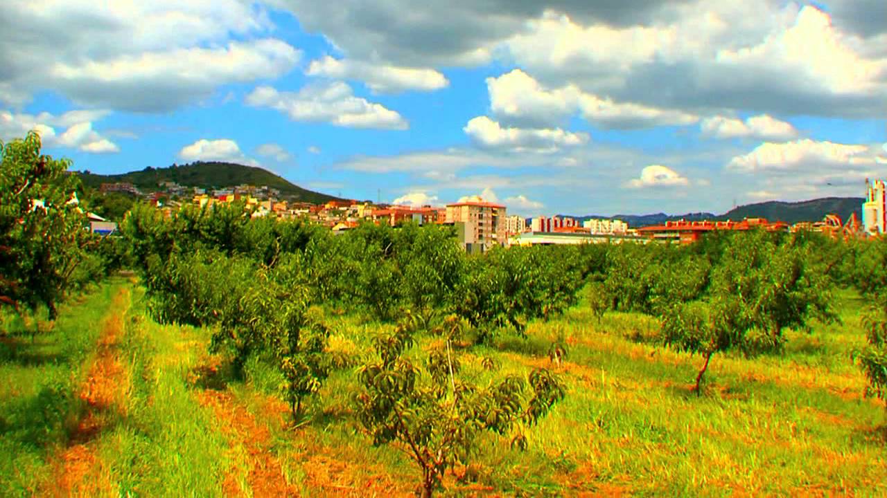 Sant Vicenç dels Horts, m’agrada!