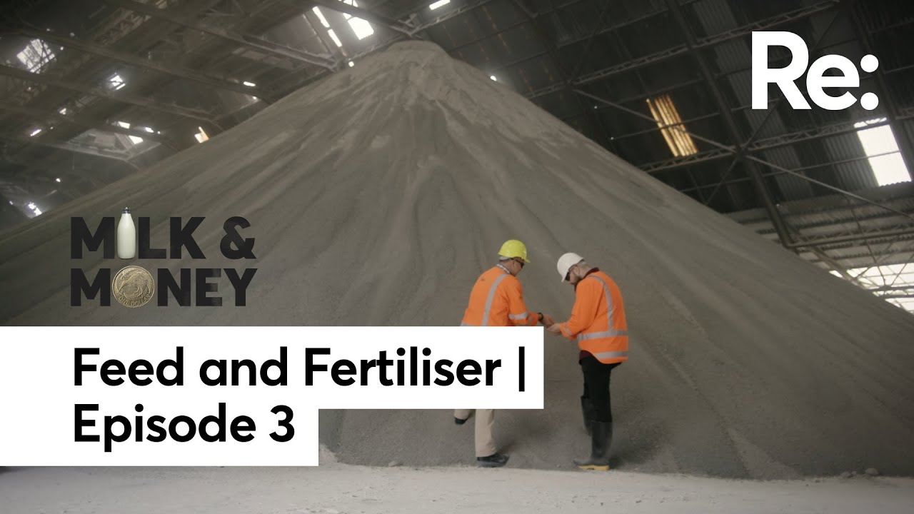 New Zealand doubled it's dairy cows in 30 years, but it took 600% more fertiliser | Milk & Money Ep3